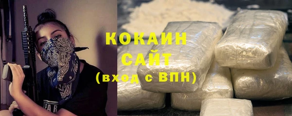 крисы Медвежьегорск