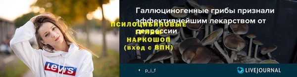 крисы Медвежьегорск