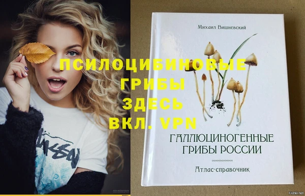 таблы Медногорск