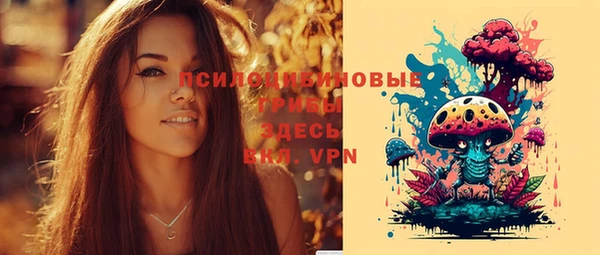 таблы Медногорск
