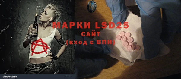 крисы Медвежьегорск