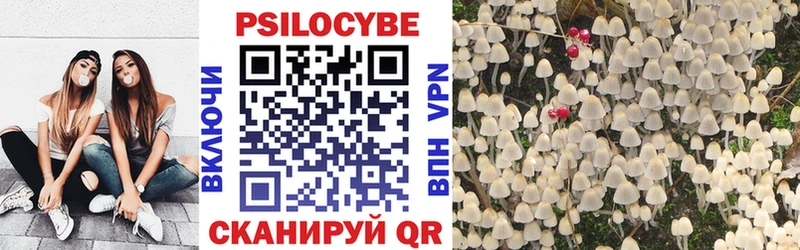 Галлюциногенные грибы ЛСД  blacksprut ССЫЛКА  Звенигово  что такое  